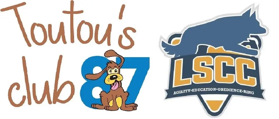 Concours Agility 2026