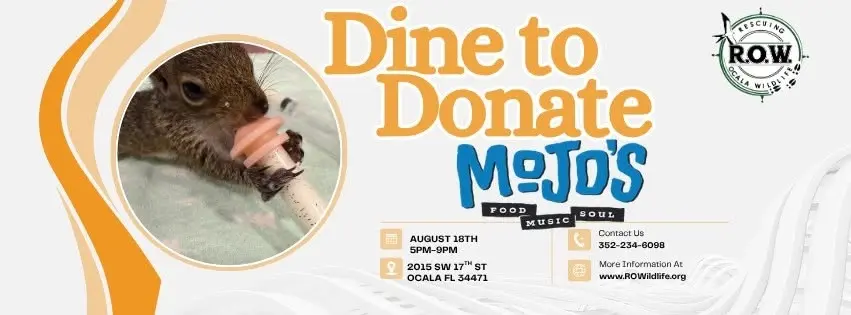 Dine to Donate: Mojo's
