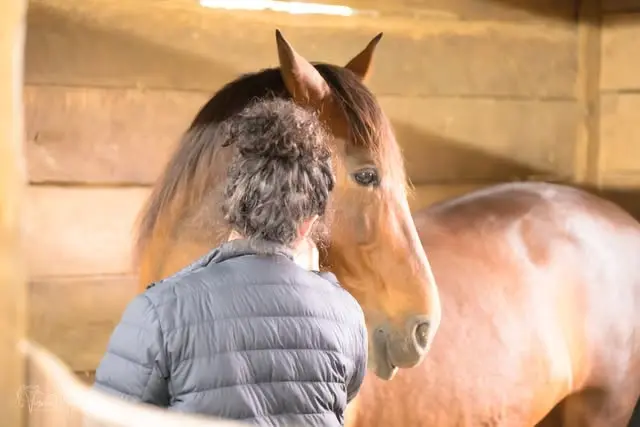 Sacred Horse Connection and Healing Retreat