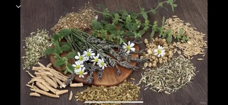 Master Herbalist 