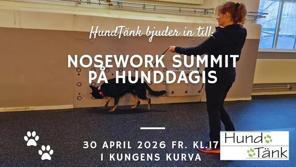 Nosework Summit på Hunddagiset Skogsdungen