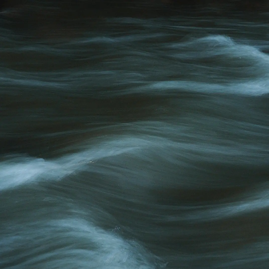 From Theory to Practice: Advancing the Rights of Nature in Law, Policy and Governance