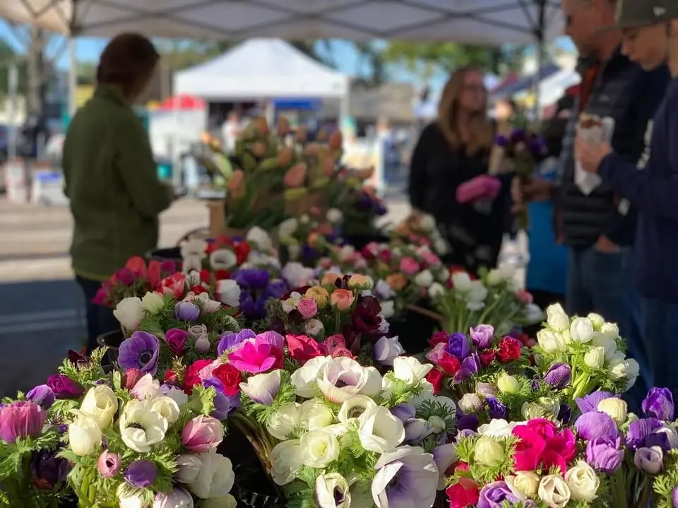 Wednesday Market