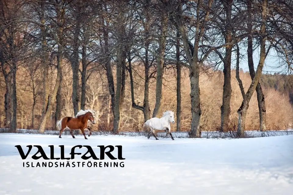 Vallfari Klubbmästerskap 2026