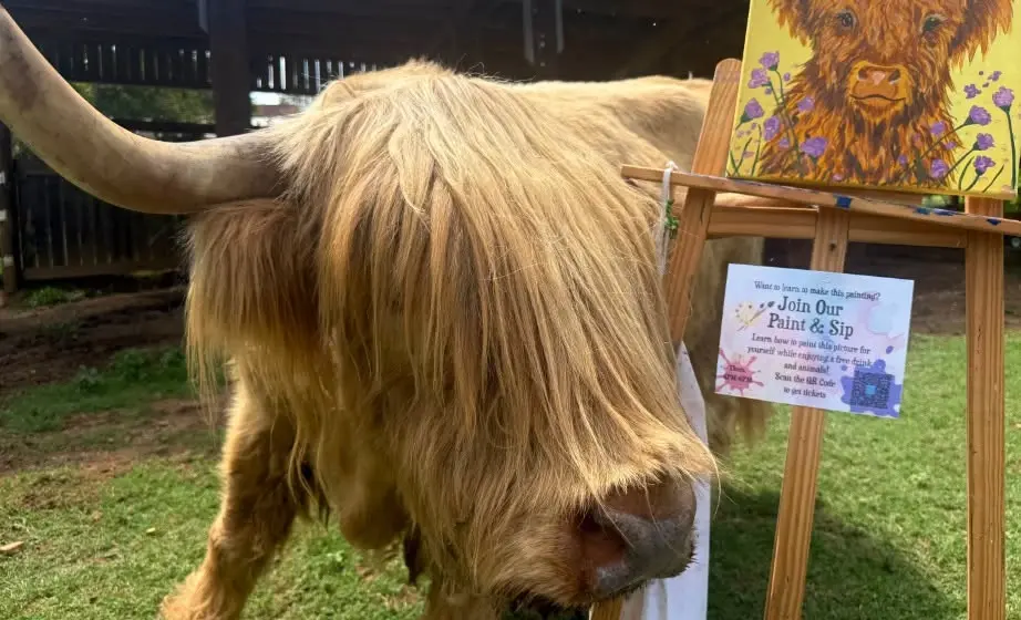 Paint & Sip At Spring Haven Farm