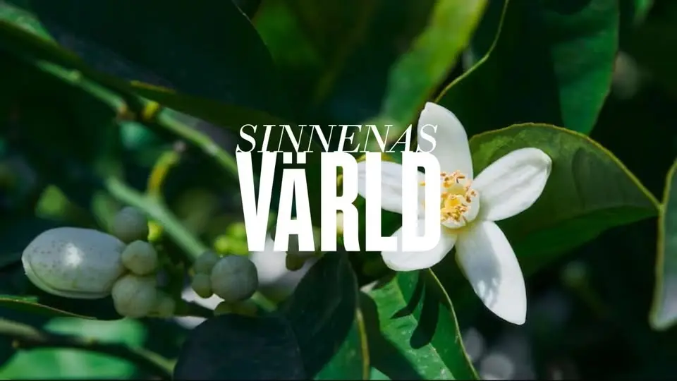 Med doft av neroli