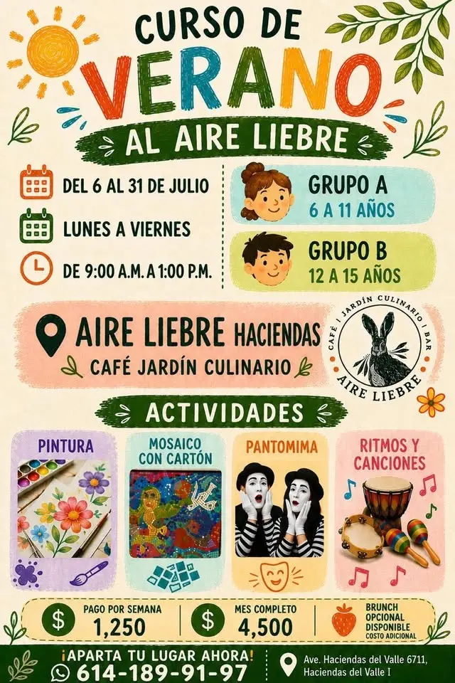 Curso de verano 
