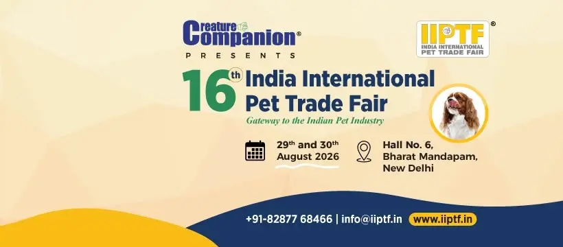 16th IIPTF 2026 