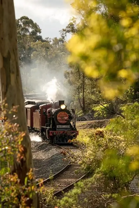 Hurstbridge Wattle Festival 2026