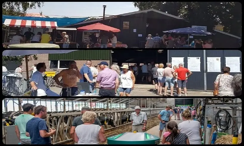 Fietstocht: Open Boeren Bedrijvendag Ruinerwold
