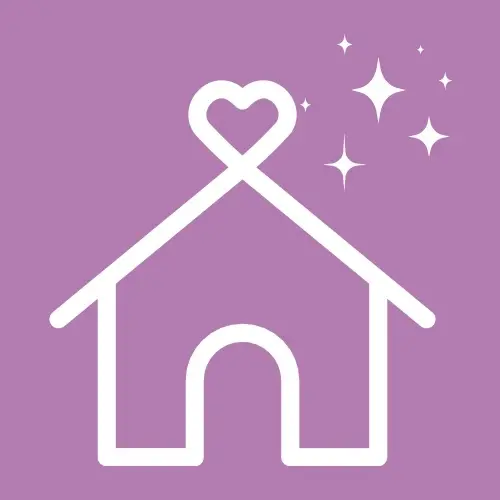 The Informed Birth Programme
