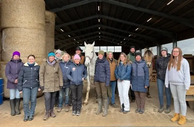 Pulheim, Germany: Beyond Horse Massage Weekend Course with Silvia Hamm (taught in German)