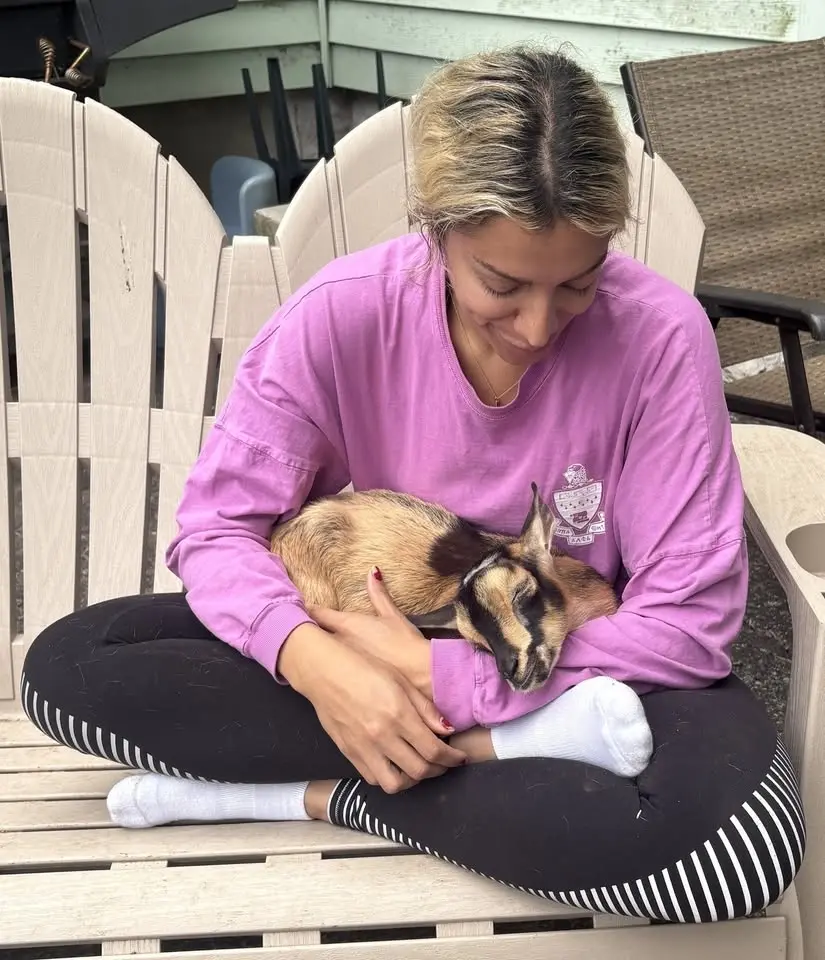     Baby Goat Play Day + Bunny Cuddles