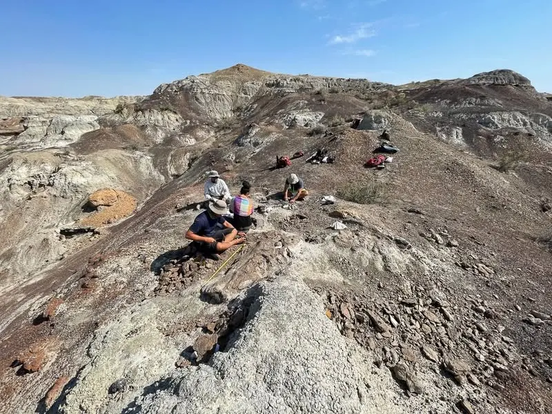 Dino Dig Live!