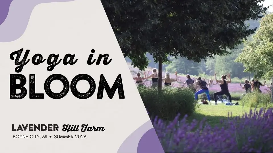 Yoga in Bloom at Lavender Hill Farm