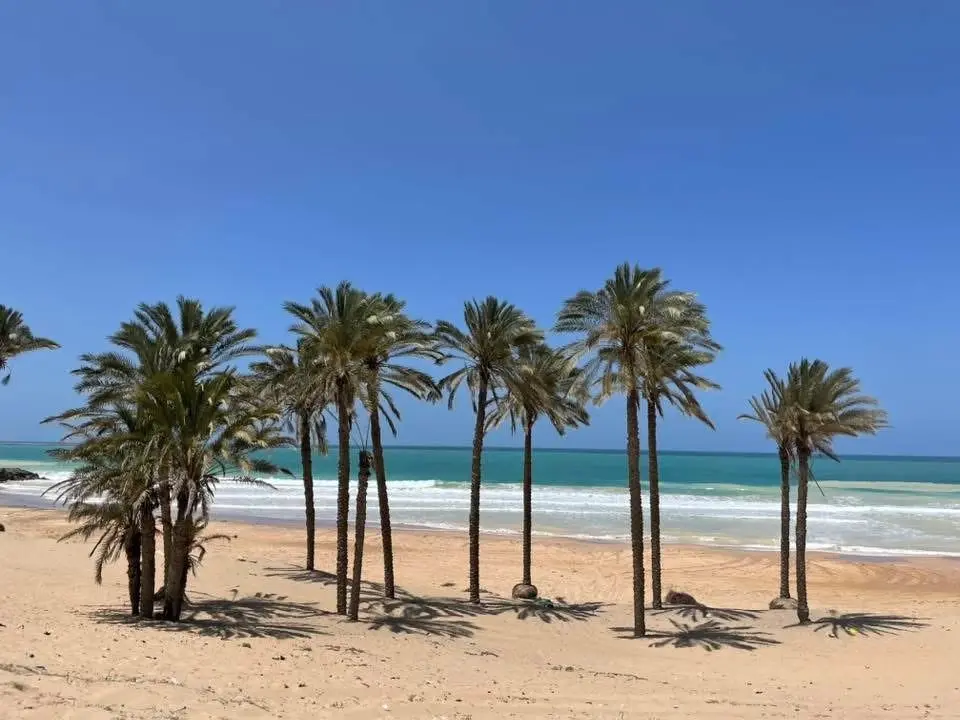 العريش فتحت تانى و هتنور بينا 🥰🥰🥰
