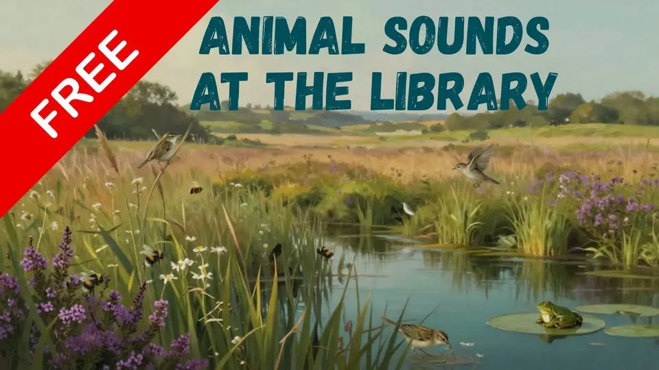 Animal Sounds at the Library with Upton Country Park