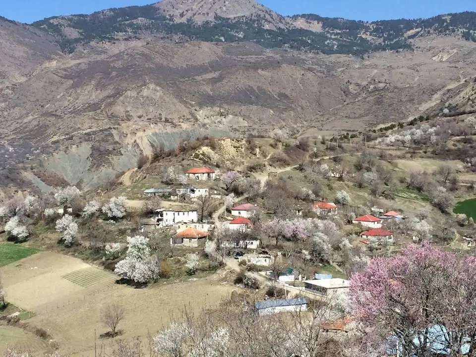 TAKIM BREZASH