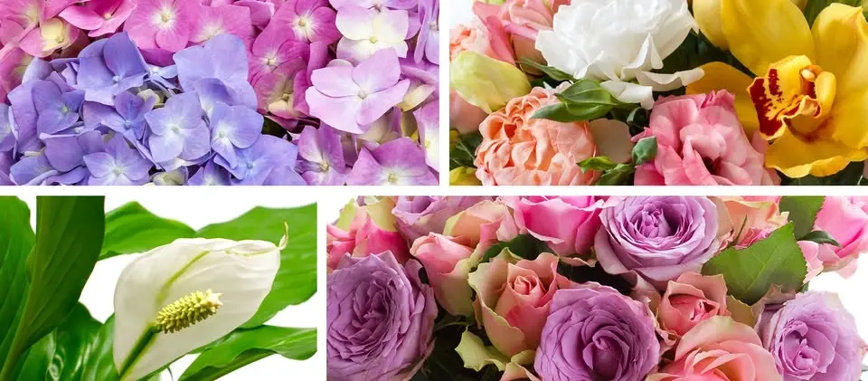 Floral Workshop