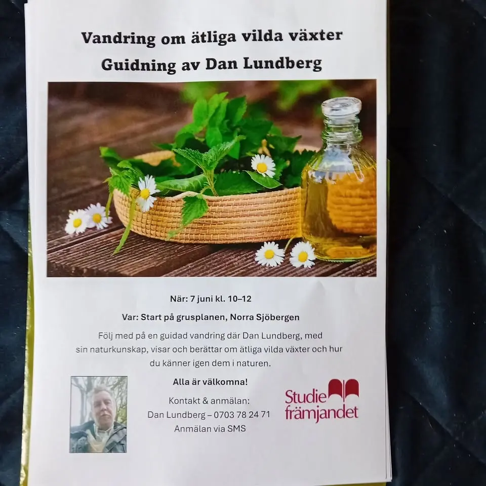 vilda ätliga växter