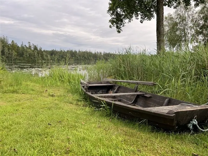 Nu så har sommaren kommit 