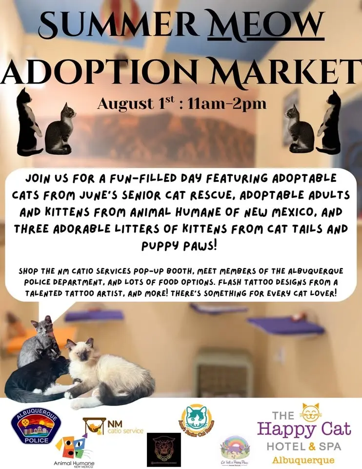Summer Meow Adoption Market! 