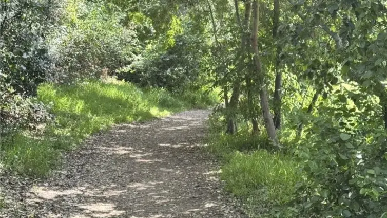 Funtastic Hike at Gabrielino Trail. Moderate Paced!
