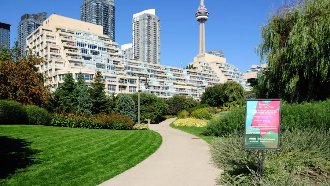 Toronto Joy Social: Meet, Mingle, and a Walk Along the Water