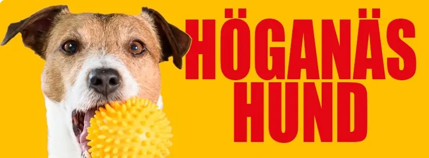 Höganäs Hund 2026