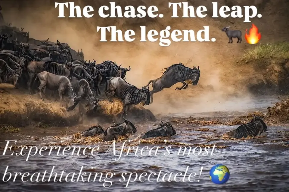 6-Day Wildebeest Migration Safari