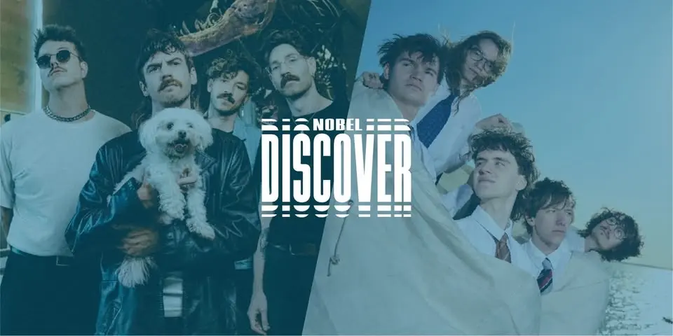 Discover: Ronker + Grote Geelstaart | Nobel