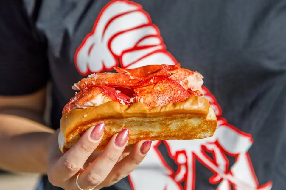 Cousins Maine Lobster: Bin 51 Wine & Spirits- Edwardsville, IL🔥😍