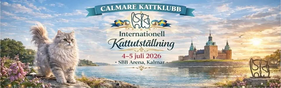 Calmare Kattklubbs internationella kattutställning 2026
