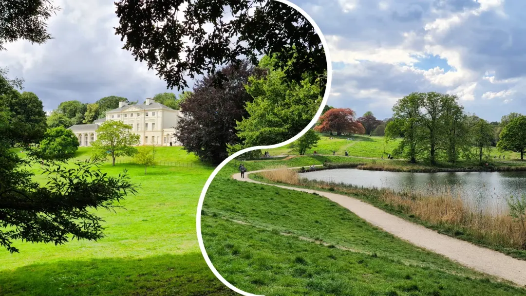 🟢 🚶🏻♂️ Walk: Hampstead Heath in Summer via The Hill Garden & Pergola