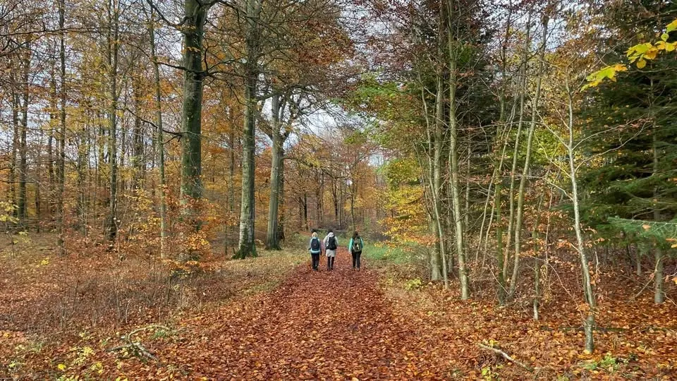 Avnsø – Scouts Lake loop (21 km hike)