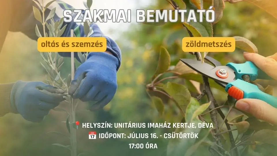 Szakmai bemutató: zöldmetszés, oltás és szemzés