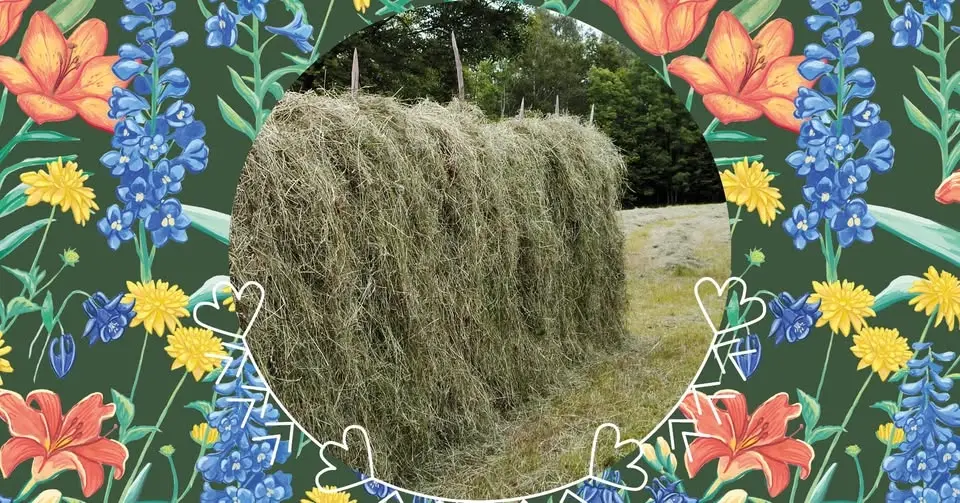 Slåtterdag på Stenegård