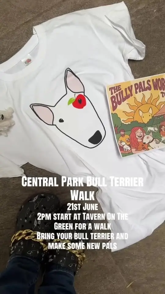 Bully Pals New York Walk