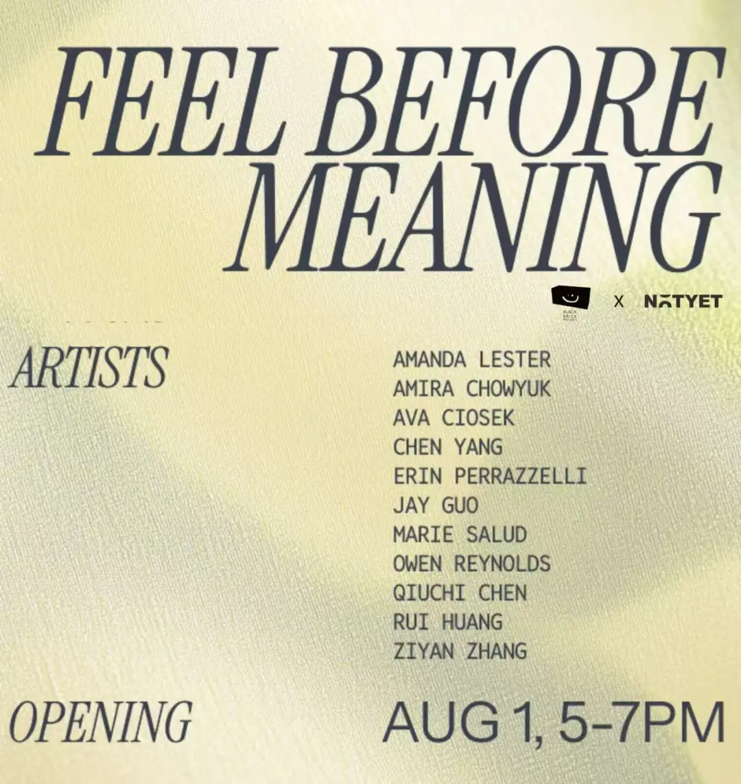 Art Exhibition Opening | Feel Before Meaning