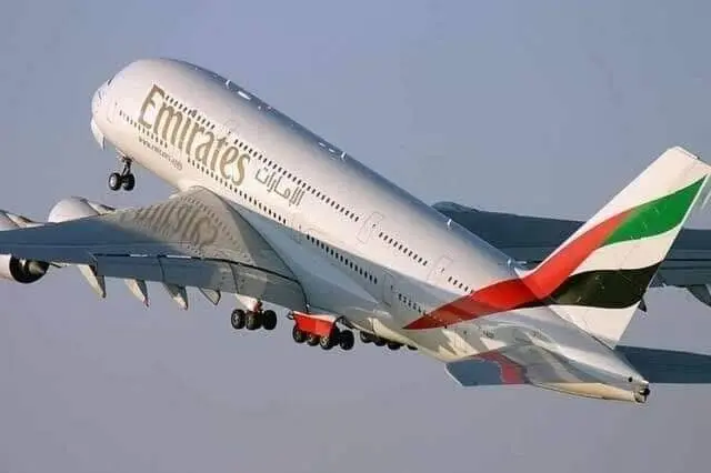 حافظ