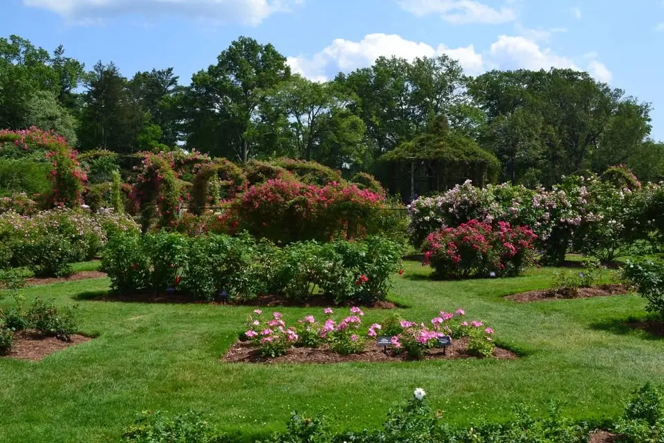 Rose Garden Tour