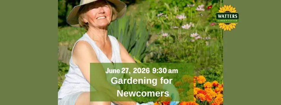 Free Garden Class: Gardening for Newcomers 