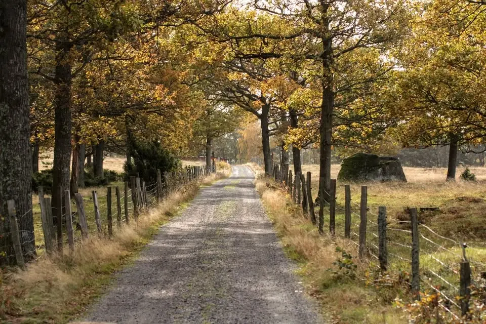 Höstlig fotopromenad 
