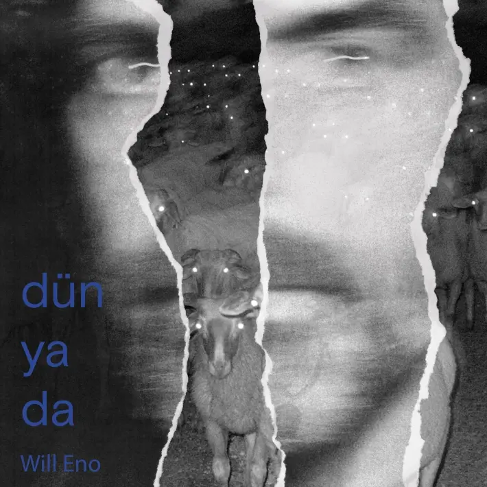 Dünyada