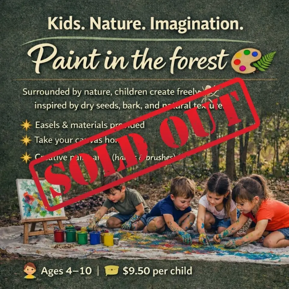 🎨Paint In The Forest 🖌️