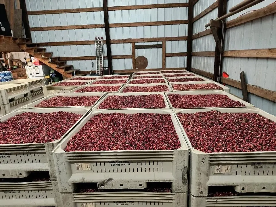 33rd Annual Cranberry Harvest Festival