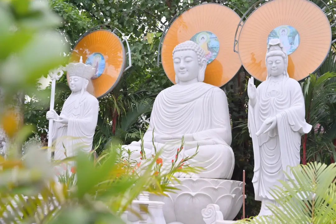 Cúng Dường Trường Hạ 2026 - Bính Ngọ