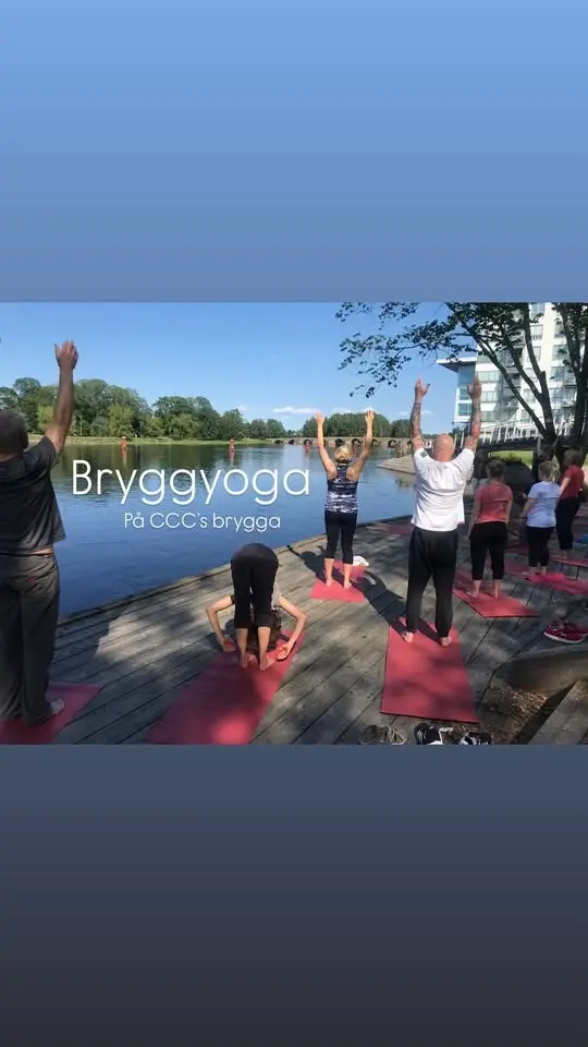 Bryggyoga