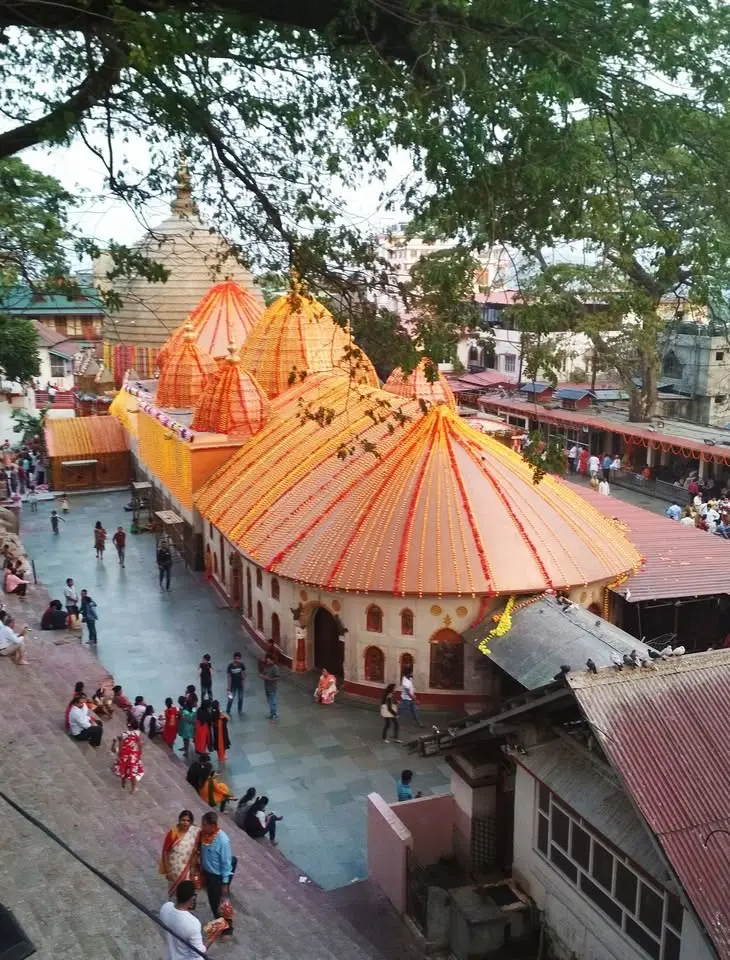 Dhanteras Divya Jyoti