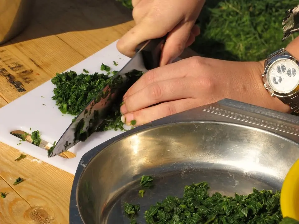 Vandring och söndagslunch i skogen